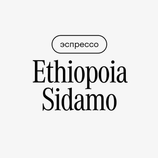 Зерно Ethiopoia Sidamo